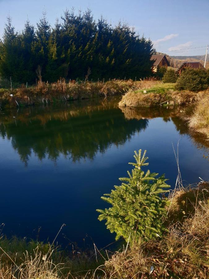 Agroturystyka Swierki Lubawka Esterno foto